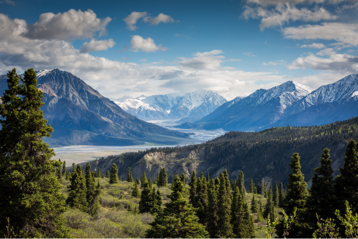 Mountain